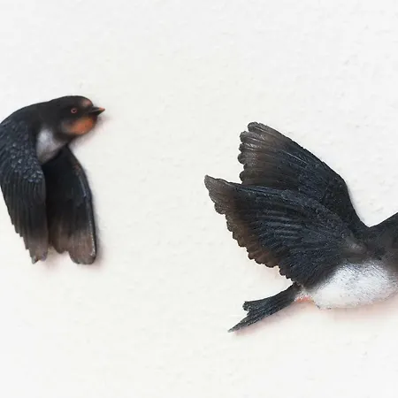 Alloggio per agriturismo Hof Lueck