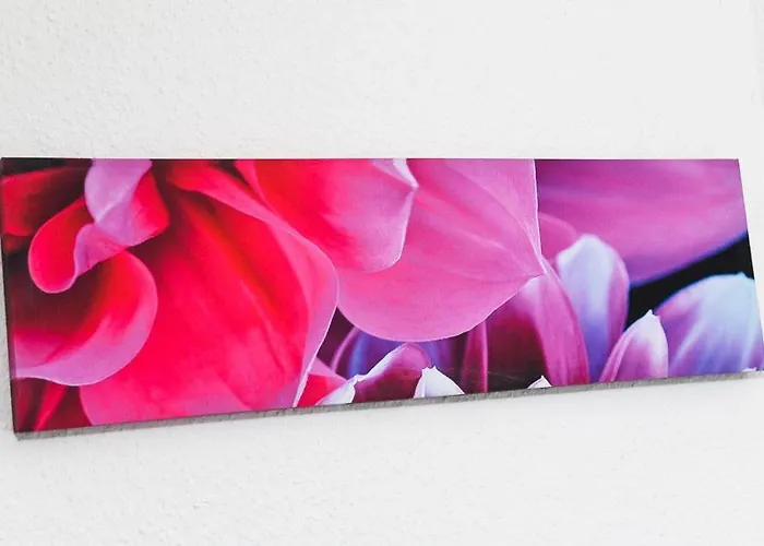 Hof Lueck 农家乐 *